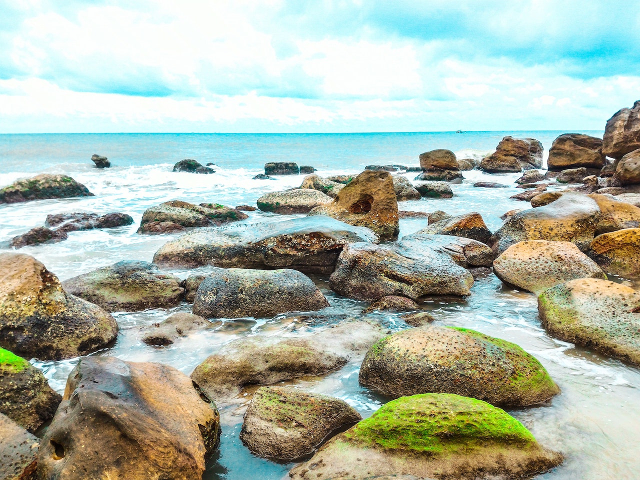 Where does Sea Moss come from ?
